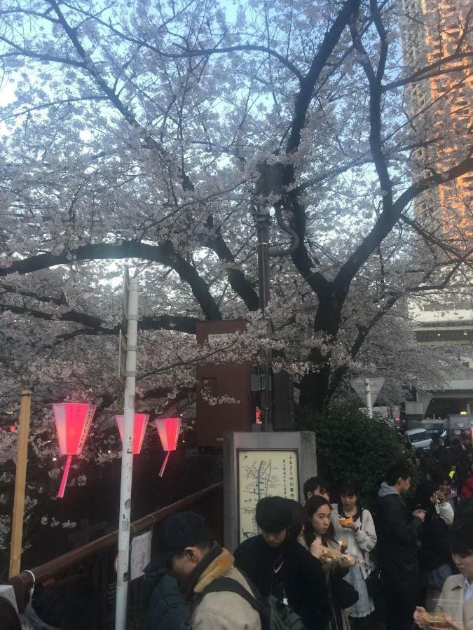 東京都Coco Nakameguro302公寓 外观 照片